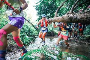 BIB: 
                            <button type="button" onclick="openModal(25450009)" class="btn btn-primary btn-sm float-right btn-popup" data-toggle="modal" data-target=".modal-high-quality">
                        <i class="fas fa-shopping-cart"></i> Add to Cart
                    </button>
                                            <button type="button" onclick="isThisMe(25450009, true)" class="btn btn-success btn-sm float-right btn-popup btn-isme hidden" data-toggle="tooltip" data-placement="bottom" title="นี่คือรูปของคุณใช่ไหม คลิกที่นี่เพื่อเอาเข้าอัลบั้ม">
                        <i class="fas fa-plus"></i> Add to album
                    </button>
                    <button type="button" onclick="isThisMe(25450009, false)" class="btn btn-warning btn-sm float-right btn-popup btn-isnotme hidden">
                        <i class="fas fa-ban"></i> Remove from album
                    </button>